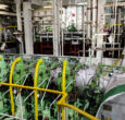 Yanmar Crankshaft Repair